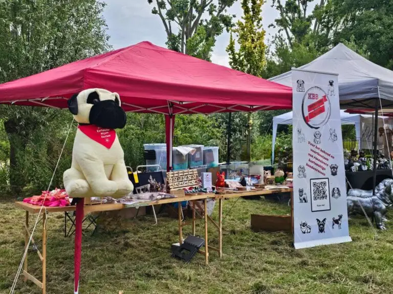 Kortsnuiten Blijven Bestaan 4voeterparkdag