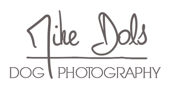 Mike Dols Dog Photography Logo