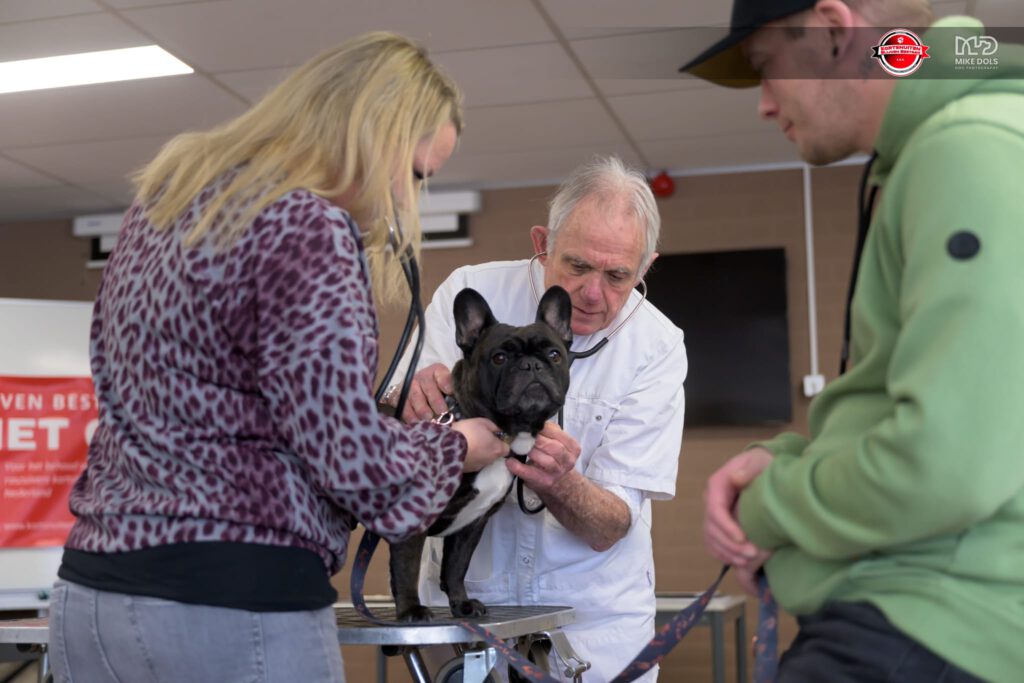 𝗶𝗻𝗳𝗼𝗿𝗺𝗮𝘁𝗶𝗲𝗺𝗶𝗱𝗱𝗮𝗴 𝘃𝗮𝗻 
𝗦𝘁. 𝗞𝗕𝗕