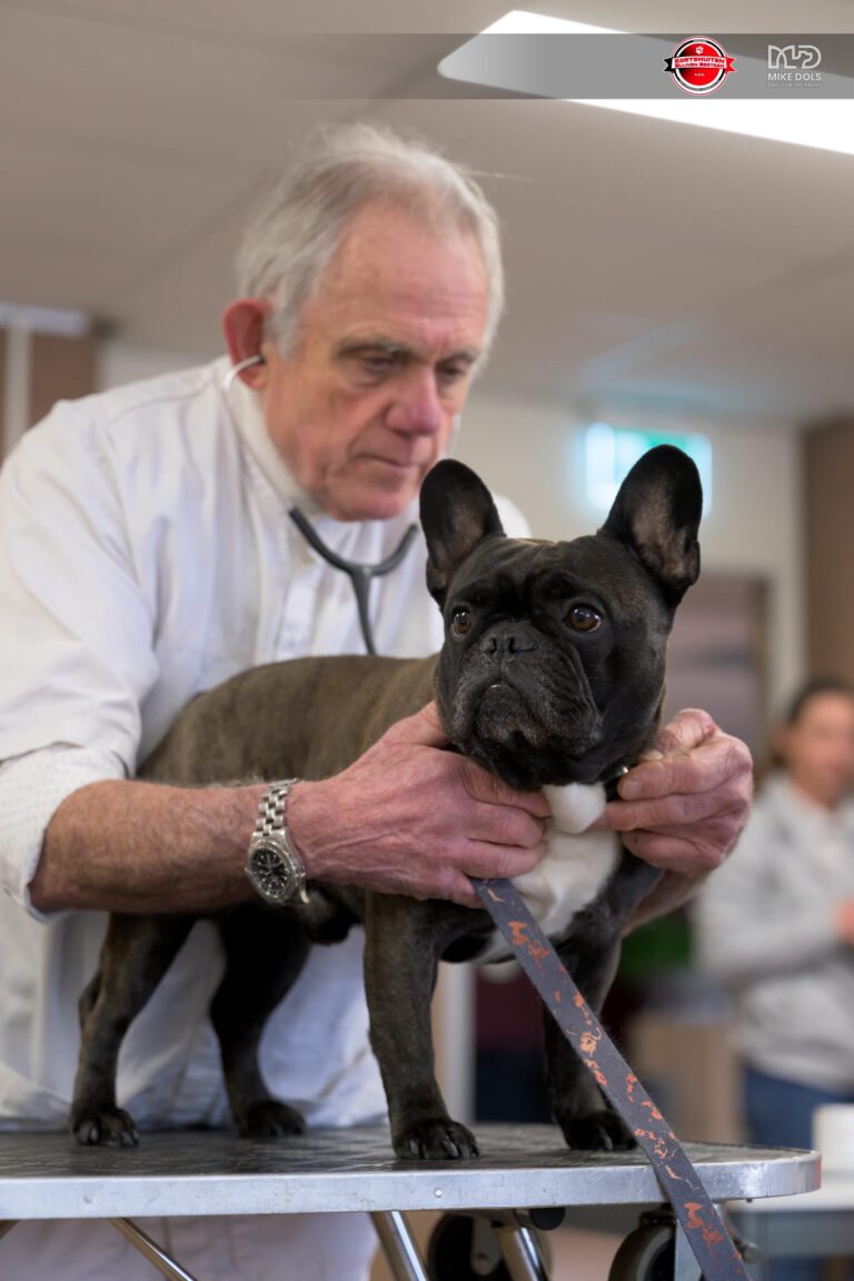 𝗶𝗻𝗳𝗼𝗿𝗺𝗮𝘁𝗶𝗲𝗺𝗶𝗱𝗱𝗮𝗴 𝘃𝗮𝗻 𝗦𝘁. 𝗞𝗕𝗕