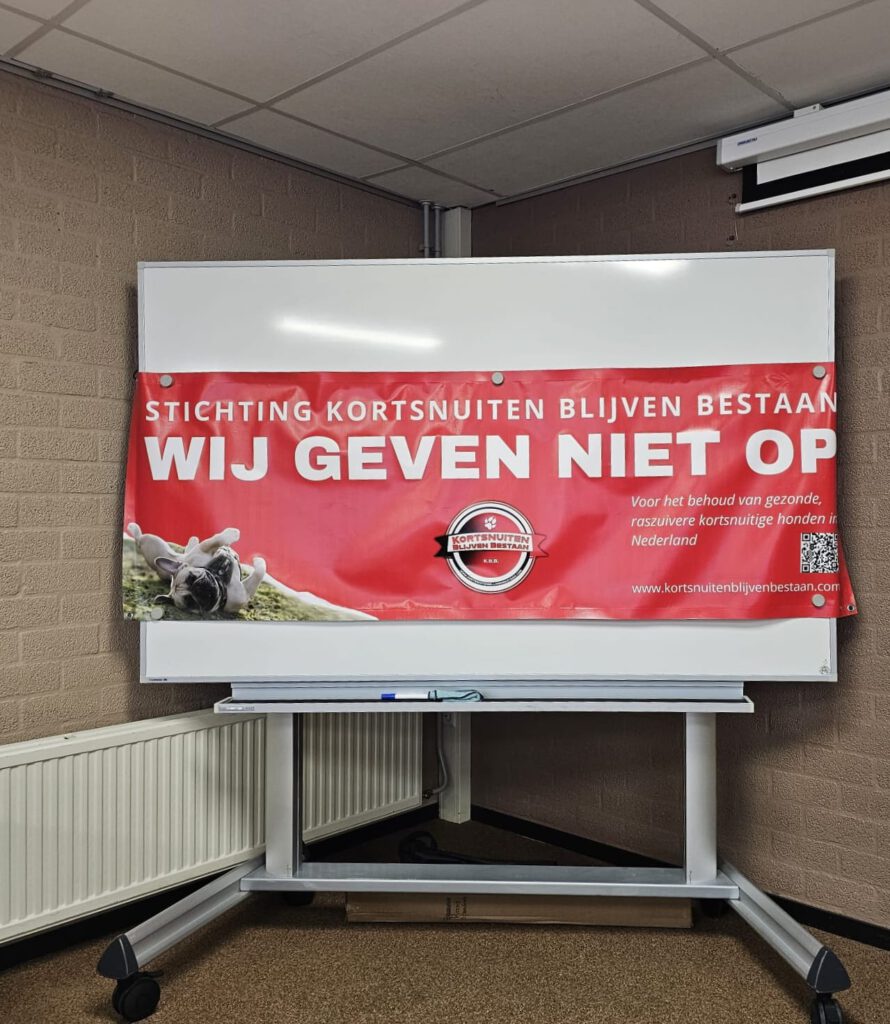 𝗶𝗻𝗳𝗼𝗿𝗺𝗮𝘁𝗶𝗲𝗺𝗶𝗱𝗱𝗮𝗴 𝘃𝗮𝗻 
𝗦𝘁. 𝗞𝗕𝗕