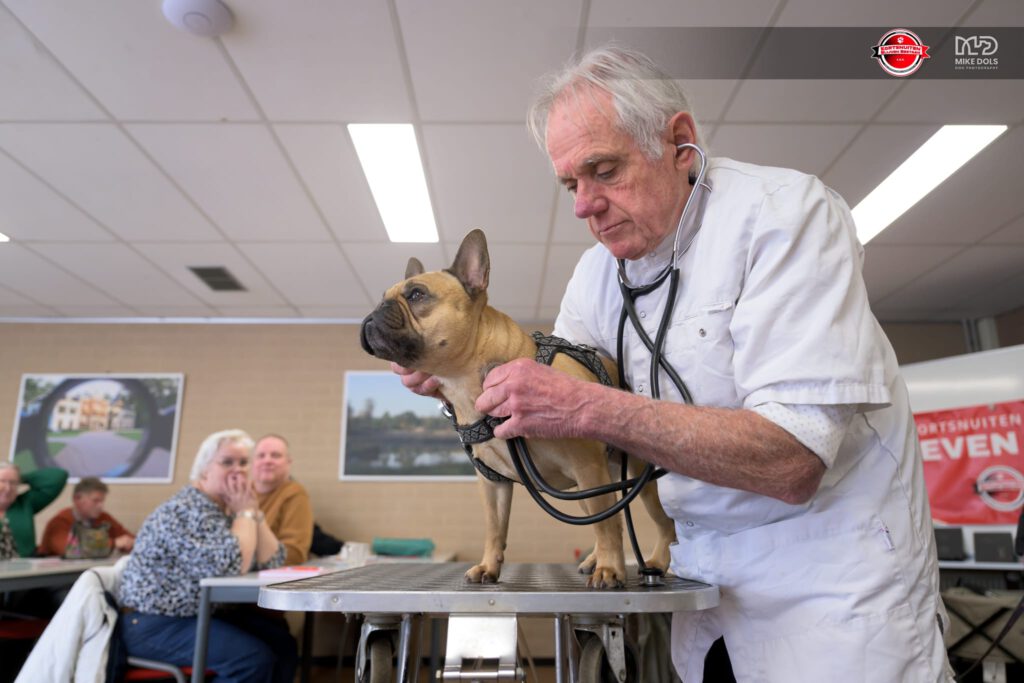 𝗶𝗻𝗳𝗼𝗿𝗺𝗮𝘁𝗶𝗲𝗺𝗶𝗱𝗱𝗮𝗴 𝘃𝗮𝗻 
𝗦𝘁. 𝗞𝗕𝗕