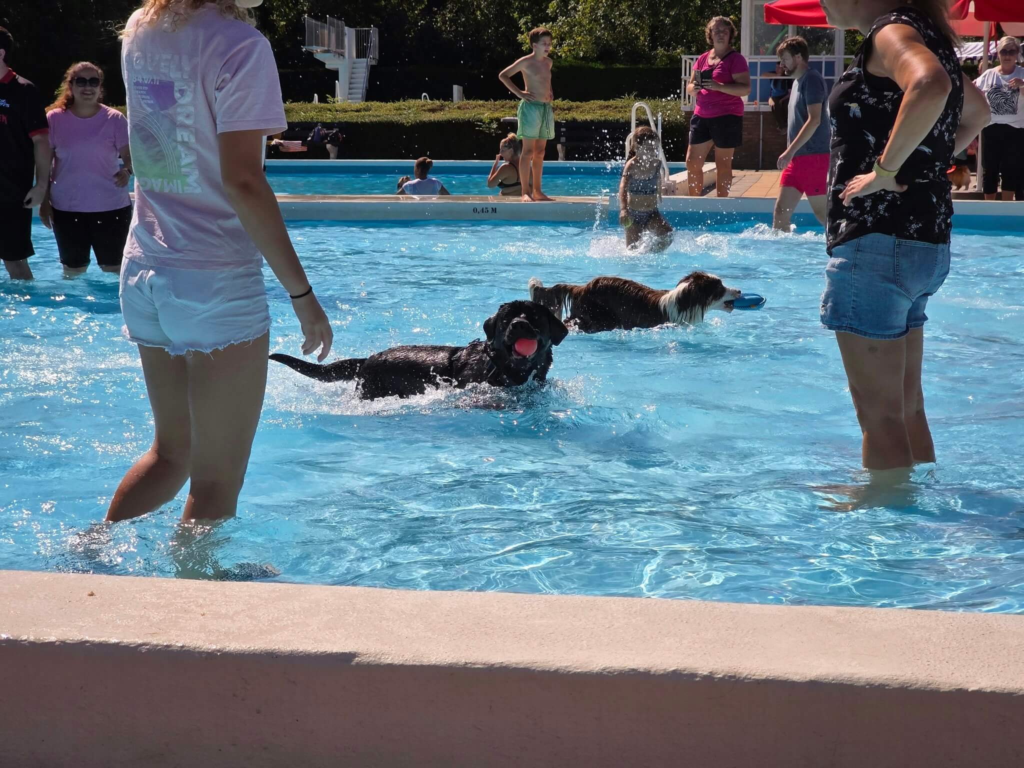 Spletterende spetters water tijdens het zwemmen