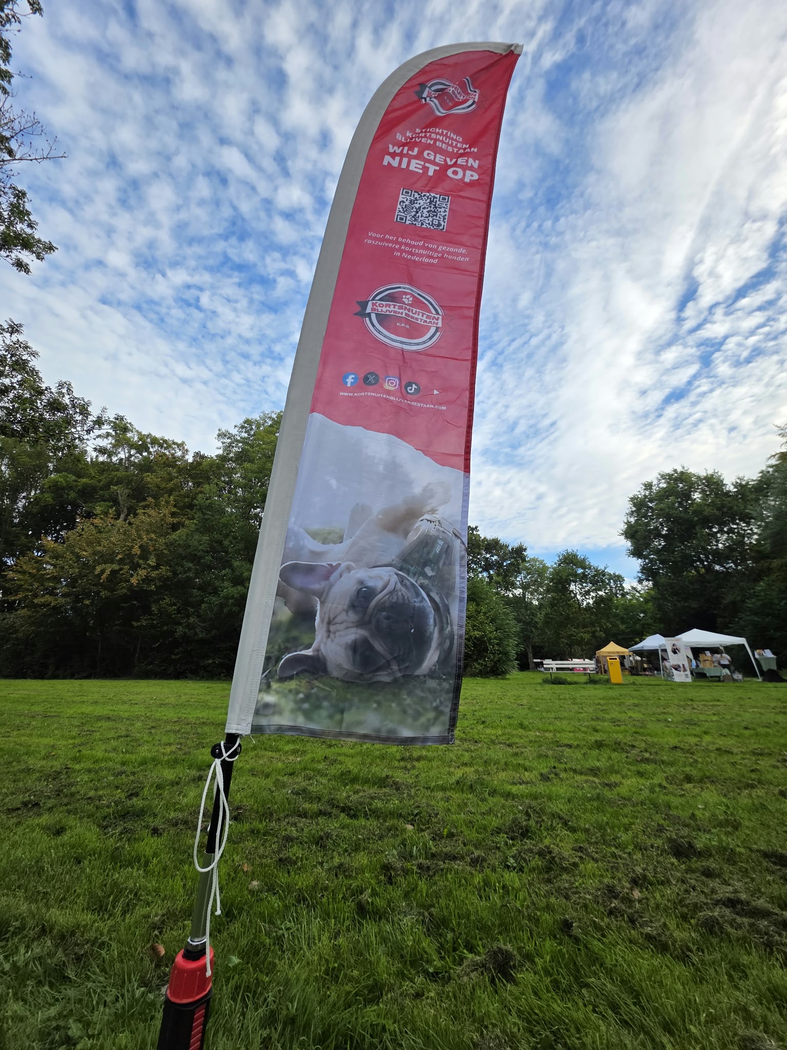 Kortsnuitige honden genieten op het Develpark